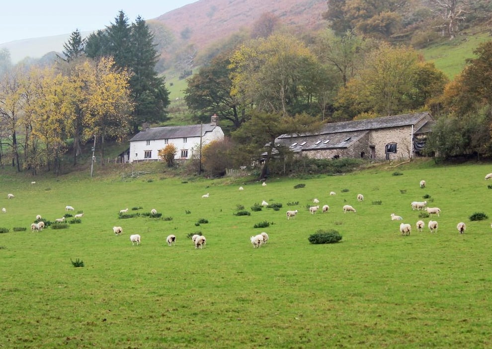 Upper Valley Farmhouse and Barns (before conversion!)
